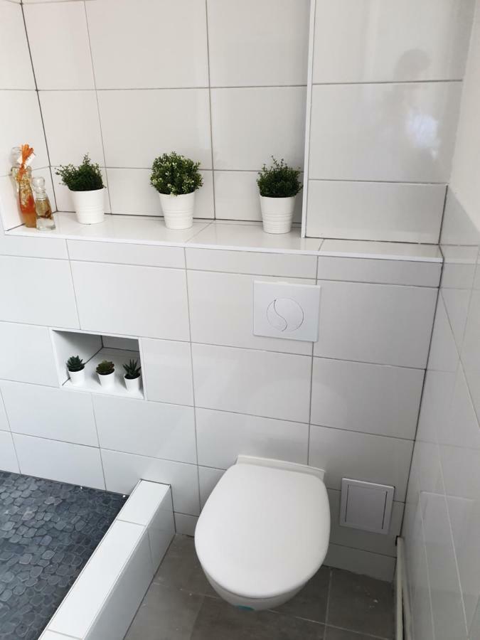 Apartmán Strasbourg Centre Le 85, Superbe F5, 125M2, 5 Pieces Exteriér fotografie