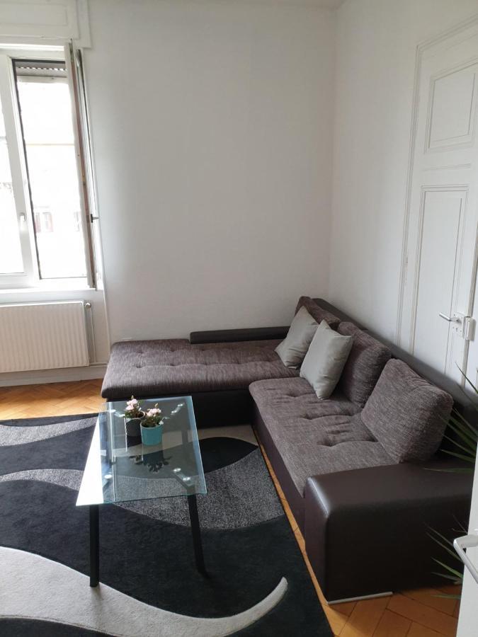 Apartmán Strasbourg Centre Le 85, Superbe F5, 125M2, 5 Pieces Exteriér fotografie
